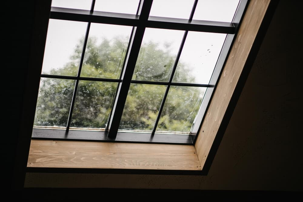 Okno dachowe z czarnymi szprosami i widokiem na zieleń